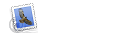 Email Me